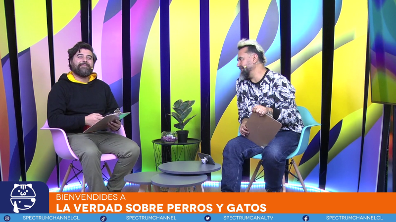 LA VERDAD SOBRE PERROS Y GATOS - EPISODIO 11